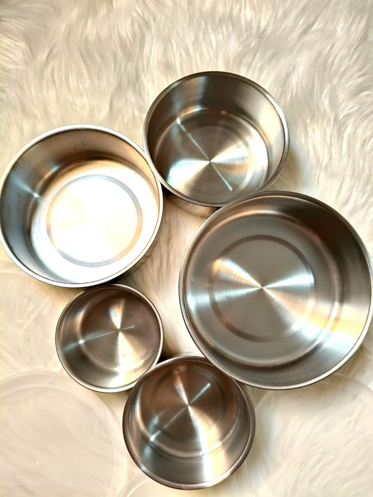 5PCS Stainless Steel Food Storage Container Set
